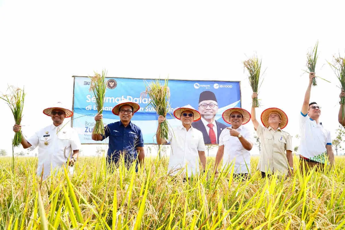 Bappenas Dorong Padi Hibrida untuk Tingkatkan Produktivitas